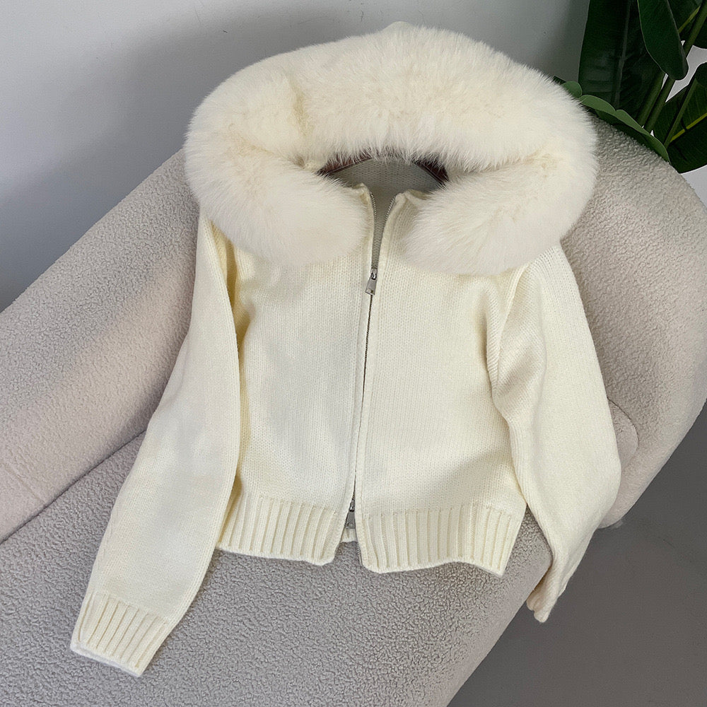 VIRAL COLLAR CARDIGAN
